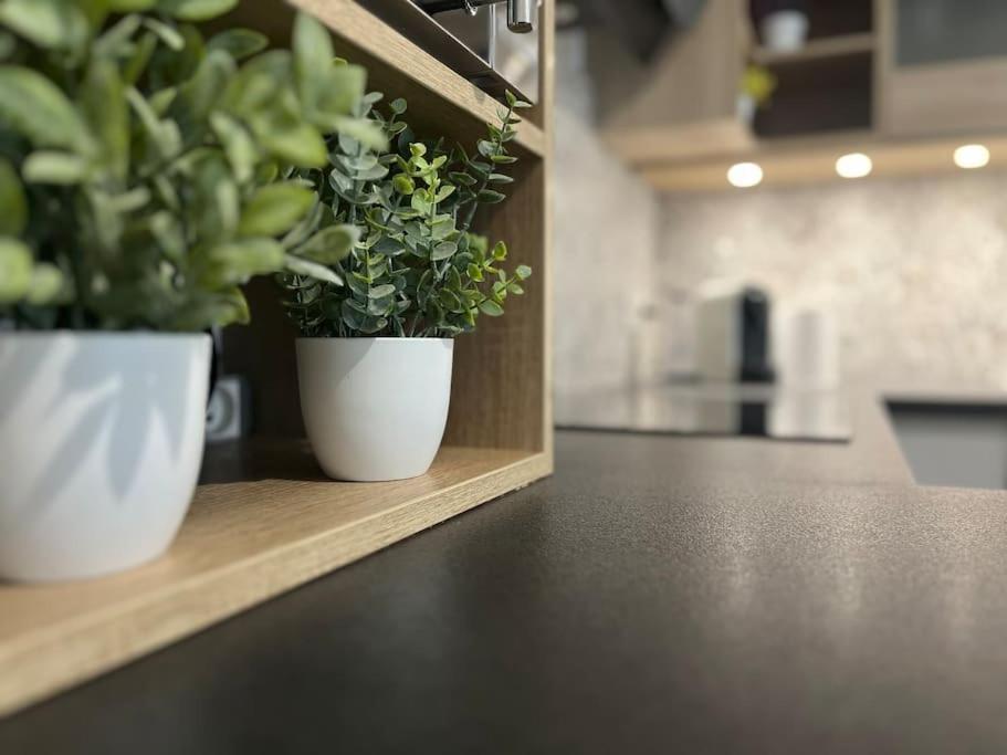 Appartement T2 Vue Panoramique Sur Annecy Сейно Екстериор снимка
