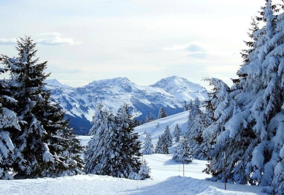 Appartement T2 Vue Panoramique Sur Annecy Сейно Екстериор снимка